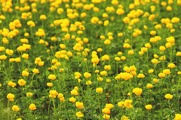 Similar image 10518645