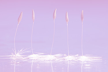 Similar image 10518647