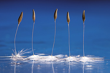 Similar image 10518650