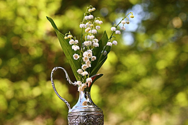 Similar image 10518652