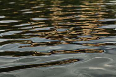 Similar image 10518659