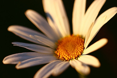 Similar image 10518677