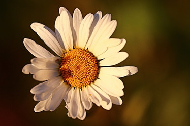 Similar image 10518678