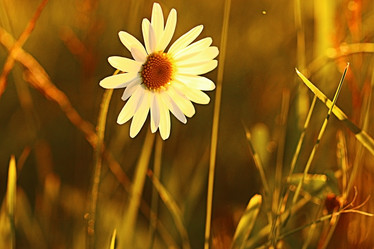 Similar image 10518679