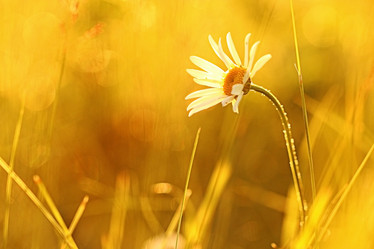 Similar image 10518680