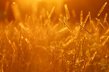 Similar image 10518681