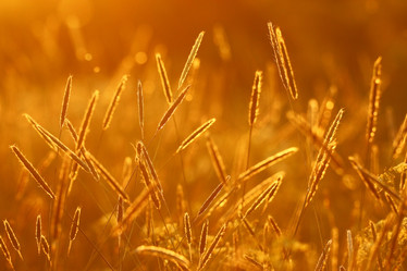 Similar image 10518682