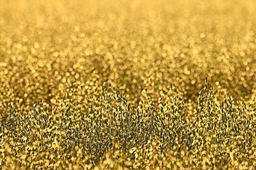 Similar image 10518685