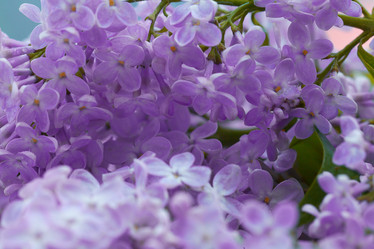 Similar image 10518697