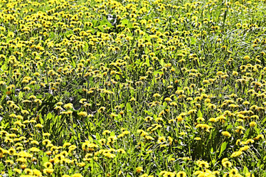 Similar image 10518699