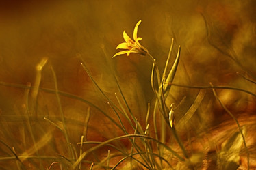 Similar image 10518708