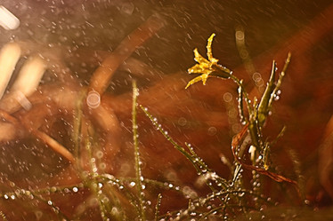 Similar image 10518709