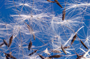 Similar image 10518714