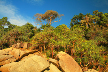 Similar image 10518747