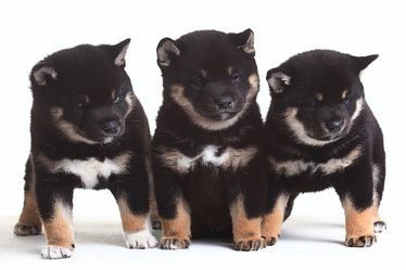 Similar image 10518777