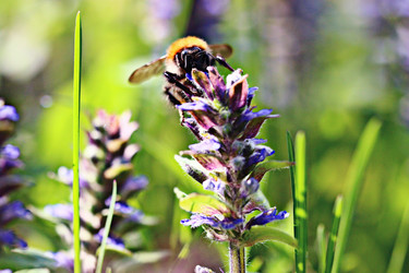 Similar image 10518781