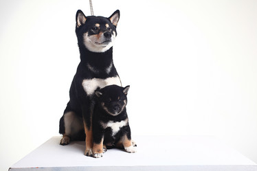 Similar image 10518782