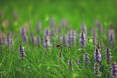 Similar image 10518806