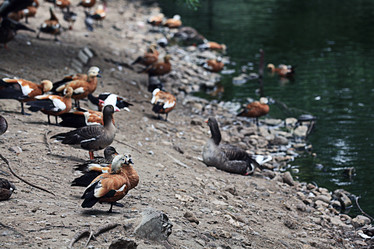 Similar image 10518813