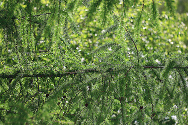 Similar image 10518815