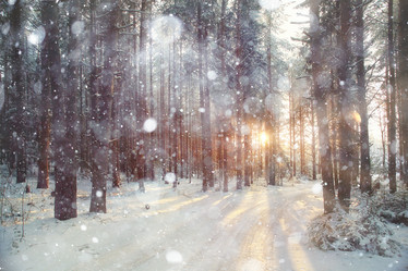 Similar image 10518826