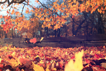 Similar image 10518828