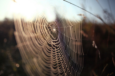 Similar image 10518832