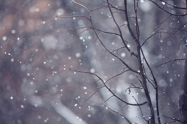 Similar image 10518834