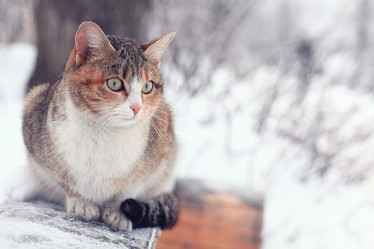 Similar image 10518863