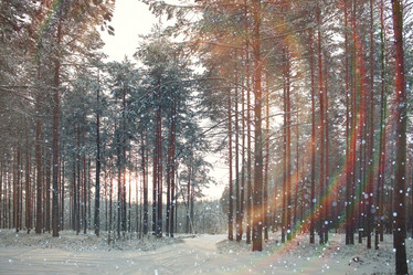 Similar image 10518864