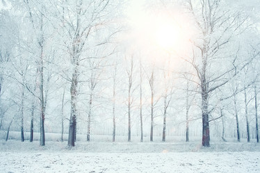 Similar image 10518865