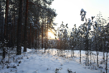 Similar image 10518877