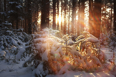 Similar image 10518879