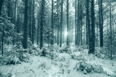 Similar image 10518907