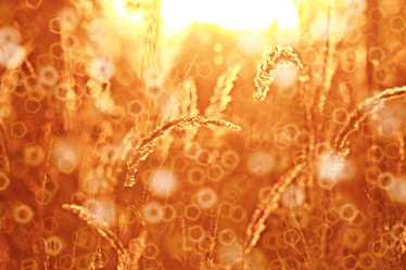 Similar image 10518919