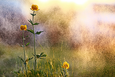 Similar image 10518920