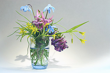 Similar image 10518921