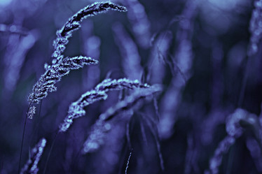 Similar image 10518928