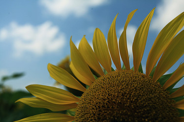 Similar image 10518934