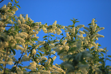 Similar image 10518936