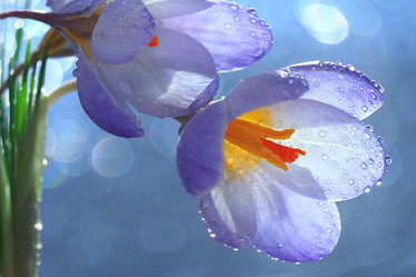 Similar image 10518941