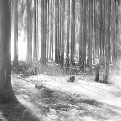 Similar image 10518946