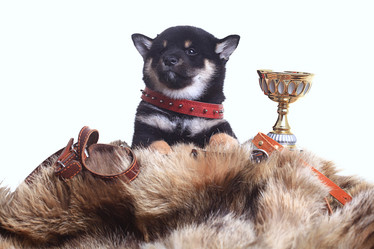 Similar image 10518964