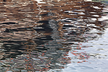 Similar image 10518980