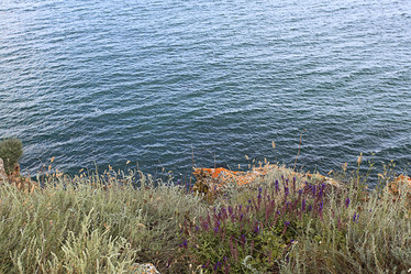 Similar image 10518993