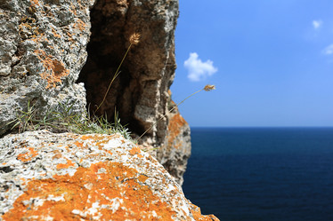 Similar image 10519000