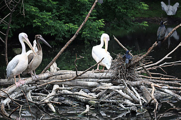 Similar image 10519013