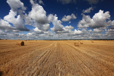 Similar image 10519017