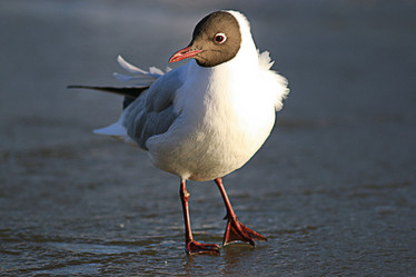 Similar image 10519018