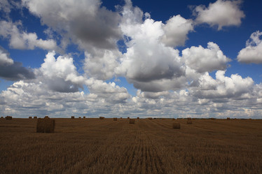 Similar image 10519020